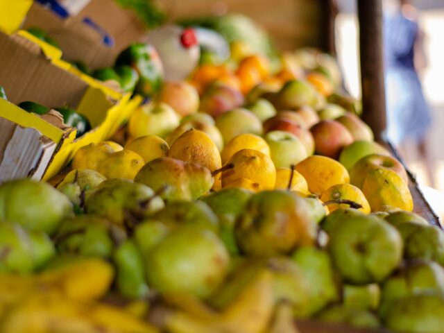 Des ateliers nutritionnels pour seniors en pleine expansion
